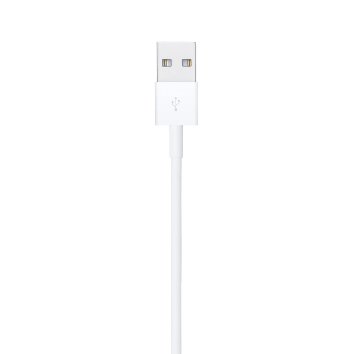 Lightning to USB Cable (1m)