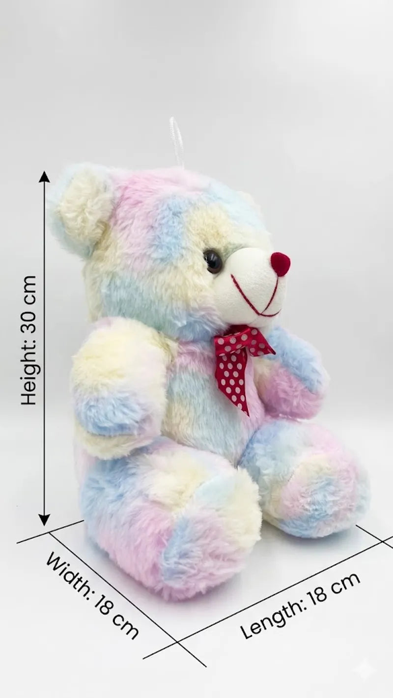 PREMIUM Rainbow Teddy Bear MULTI COLOR