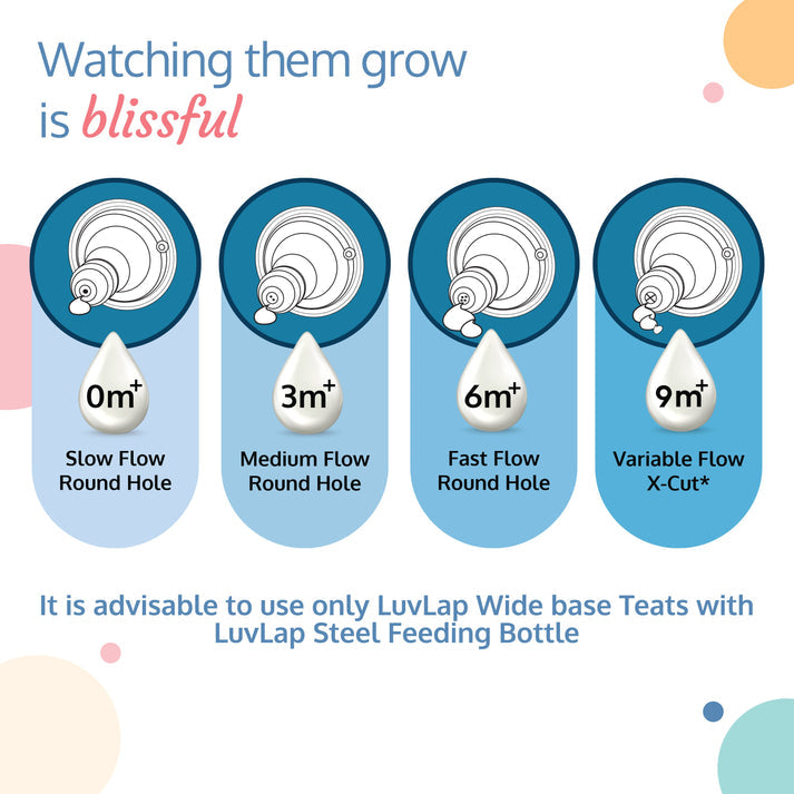 LuvLap Steel Feeding Bottle, Mulicolor, 240 Ml